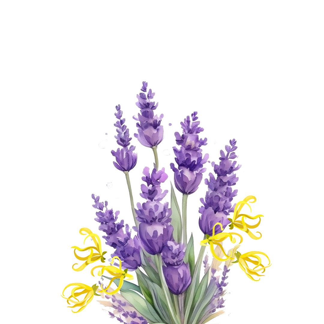 Unwind Essential Oil | PURE Spa Skincare