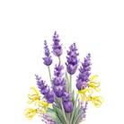 Unwind Essential Oil | PURE Spa Skincare